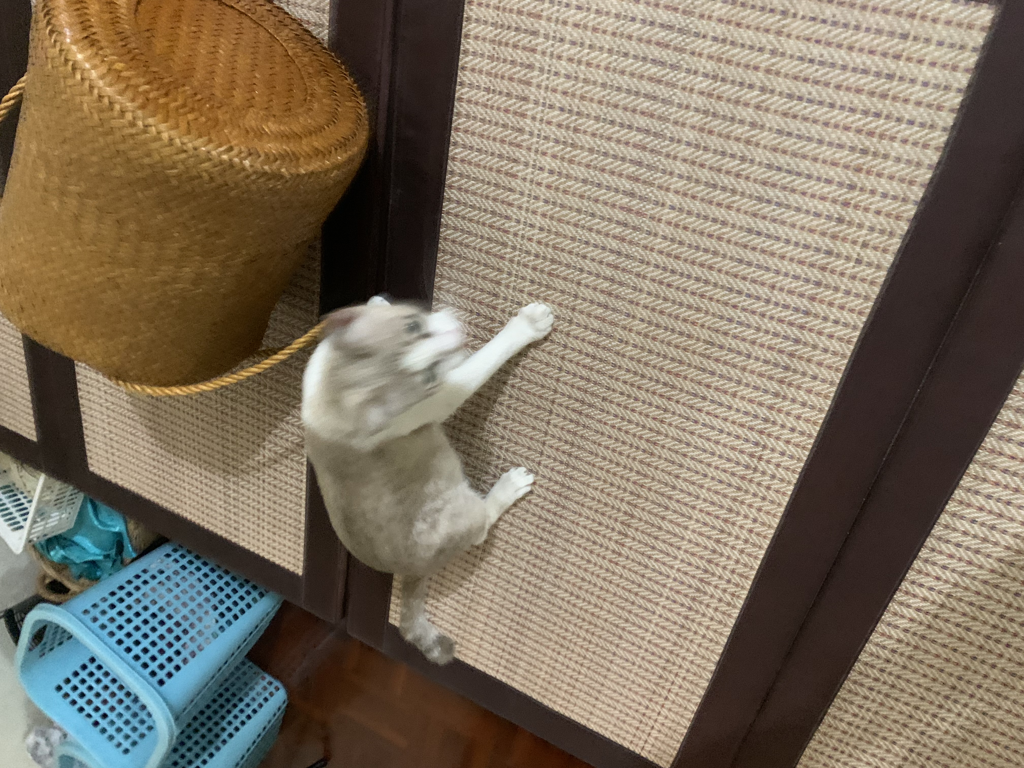 แงว2 แงว2